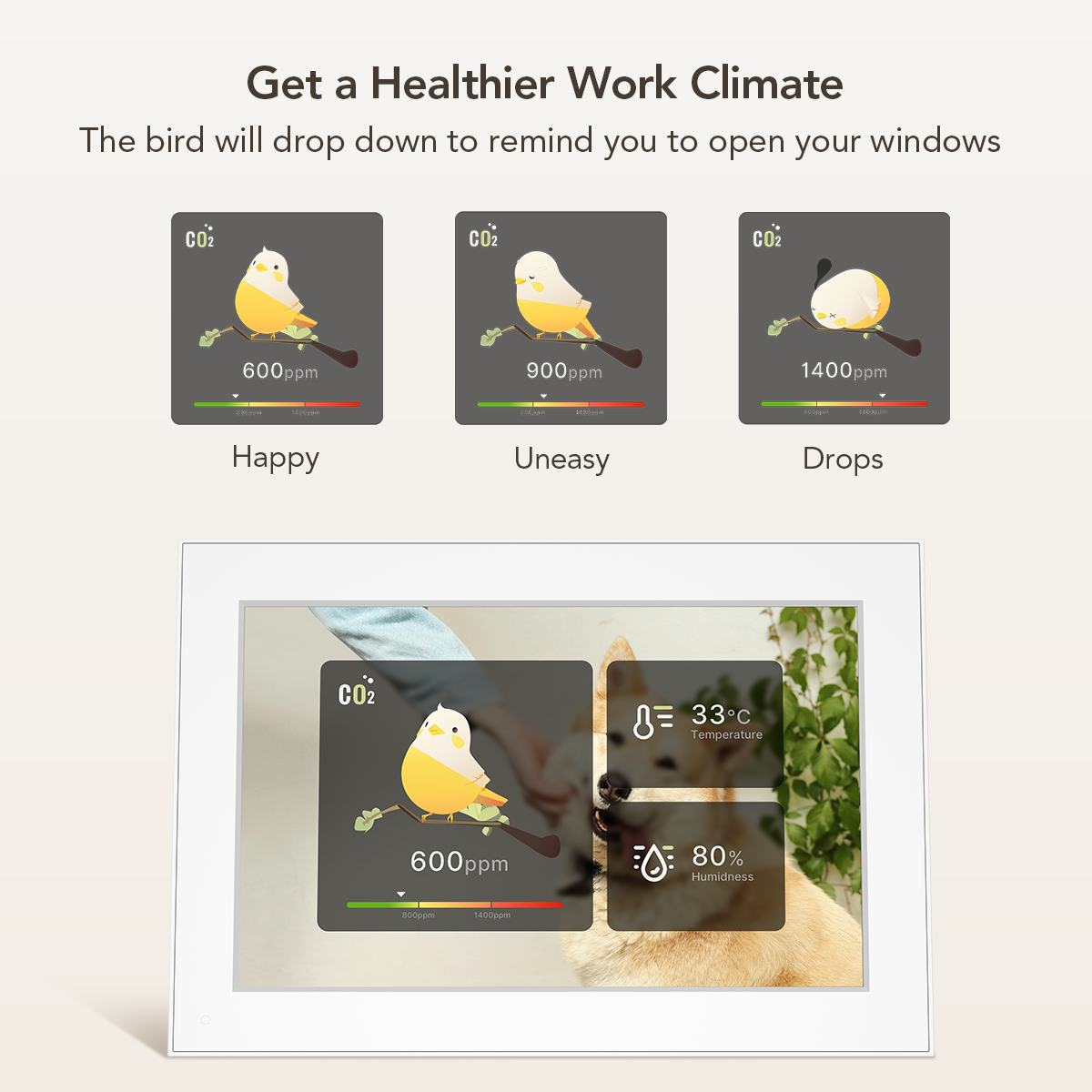 NearHub Frames 10